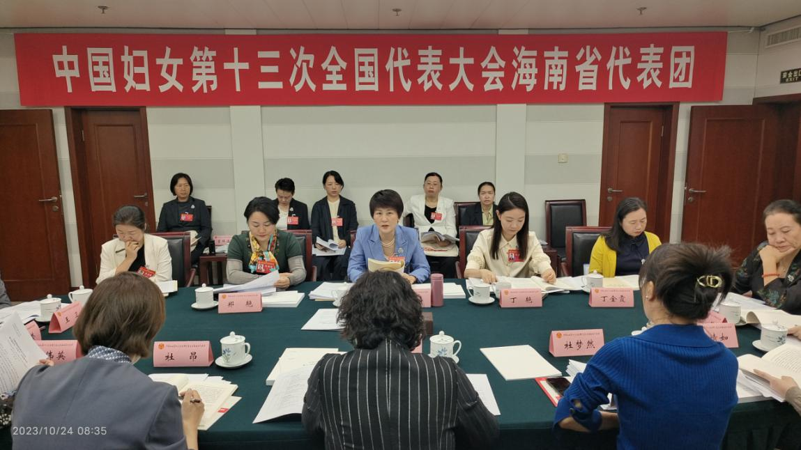 同心跟黨走，奮進(jìn)自貿(mào)港—海南省代表團(tuán)熱議黨中央致詞并審議大會(huì)報(bào)告